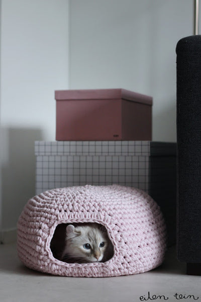 Cat House